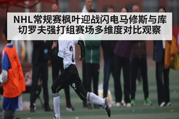 NHL常规赛枫叶迎战闪电马修斯与库切罗夫强打组赛场多维度对比观察（c7c7）